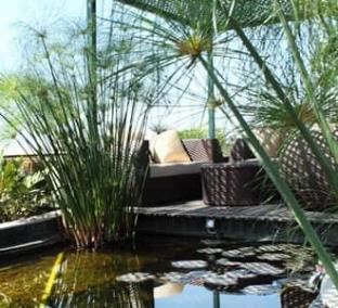 Transtree At Whitefild,,3 star