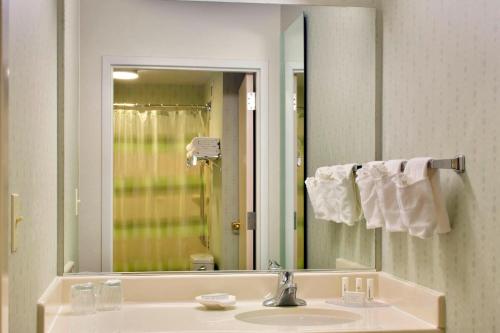 Springhill Suites By Marriott Philadelphia Plymouth Meeting,Montgomery County>>Conshohocken,3 star