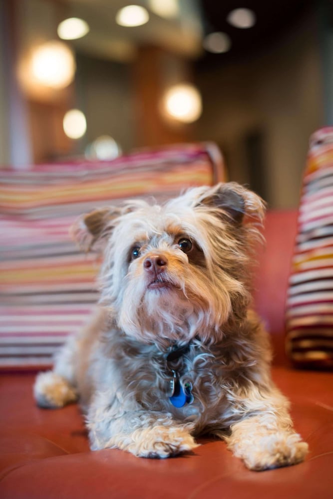 radisson hotel duluth harborview