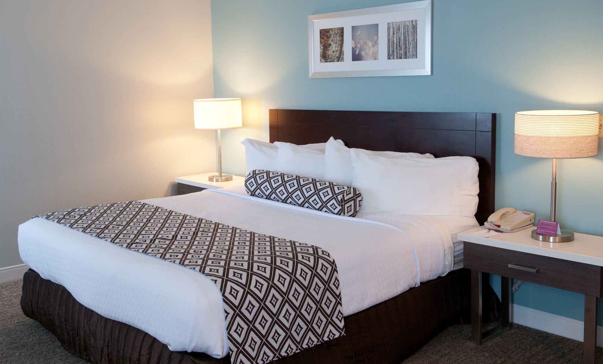 crowne plaza suites pittsburgh south by ihg