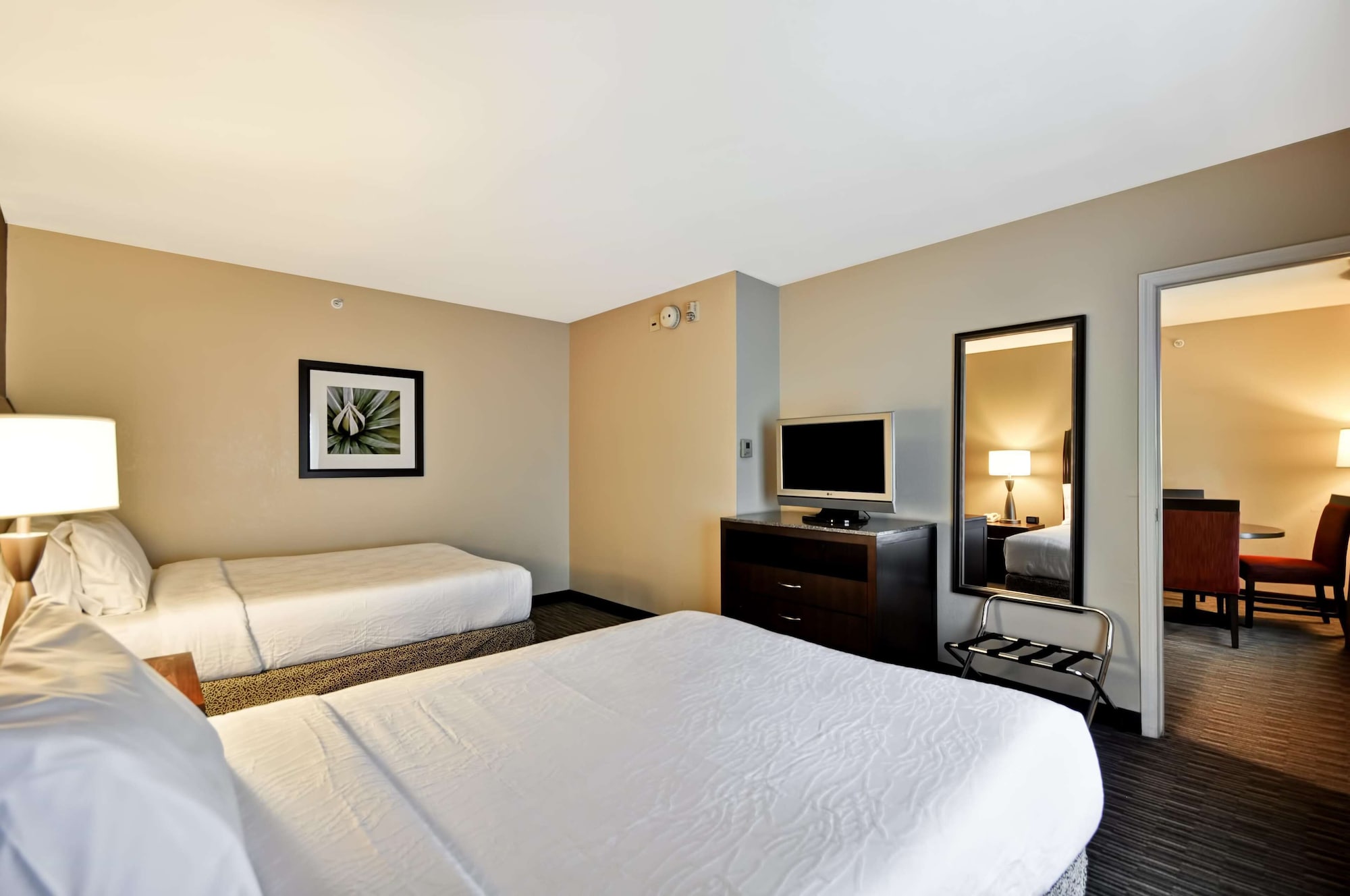 hilton garden inn tampa north busch gardens