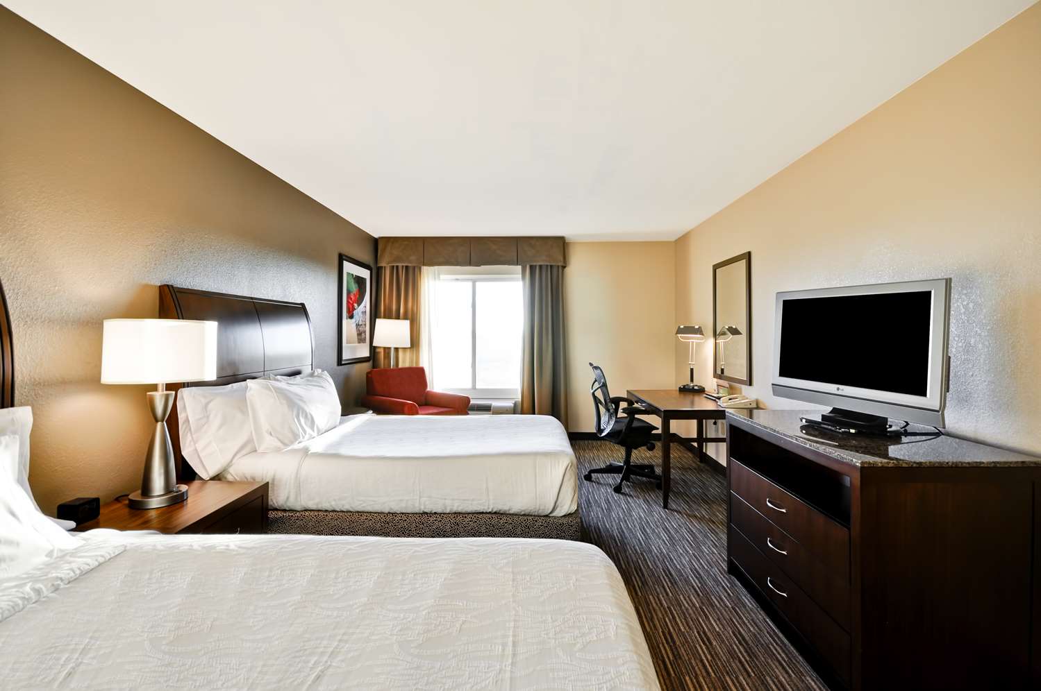 hilton garden inn tampa north busch gardens
