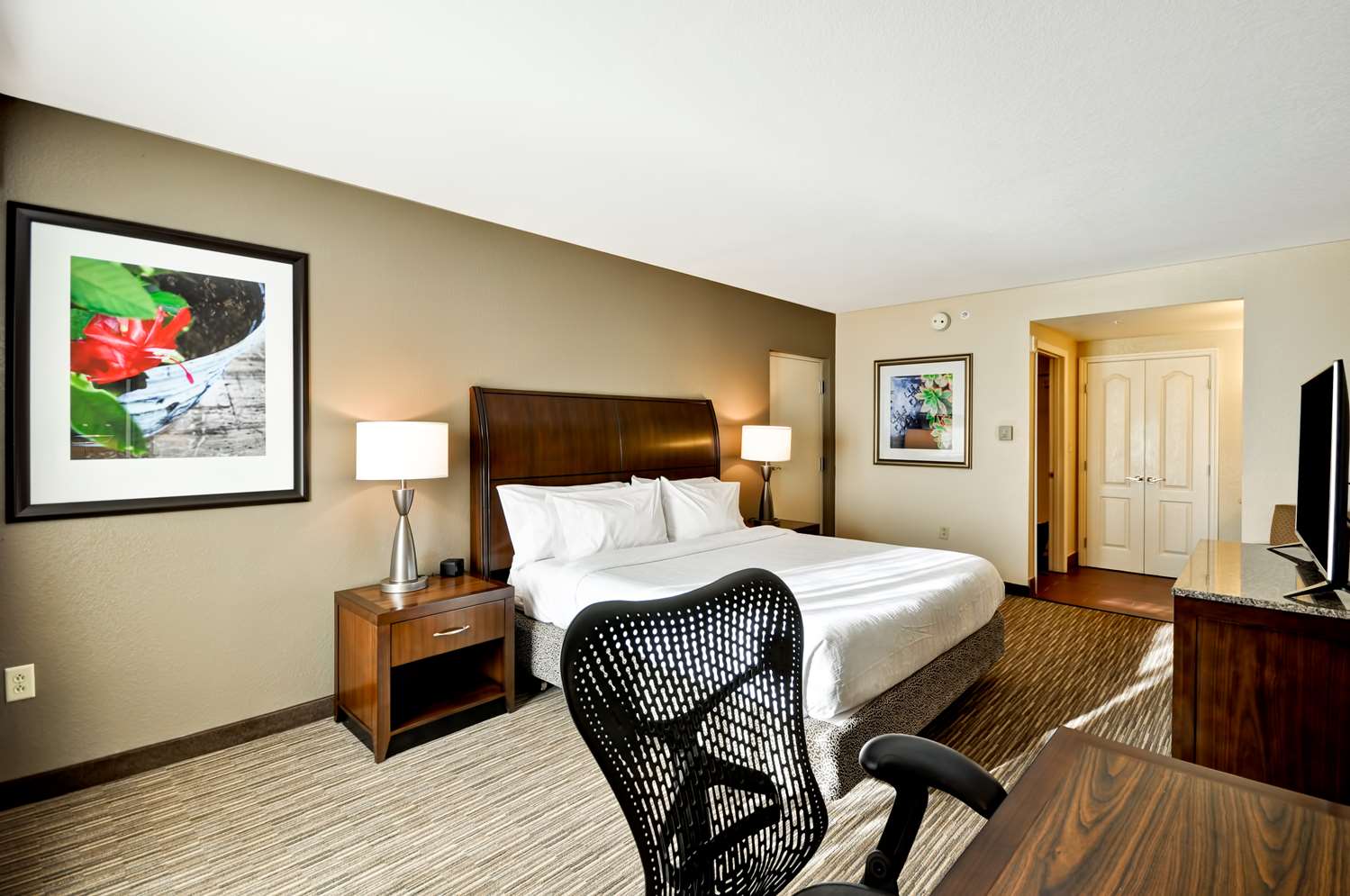 hilton garden inn tampa north busch gardens