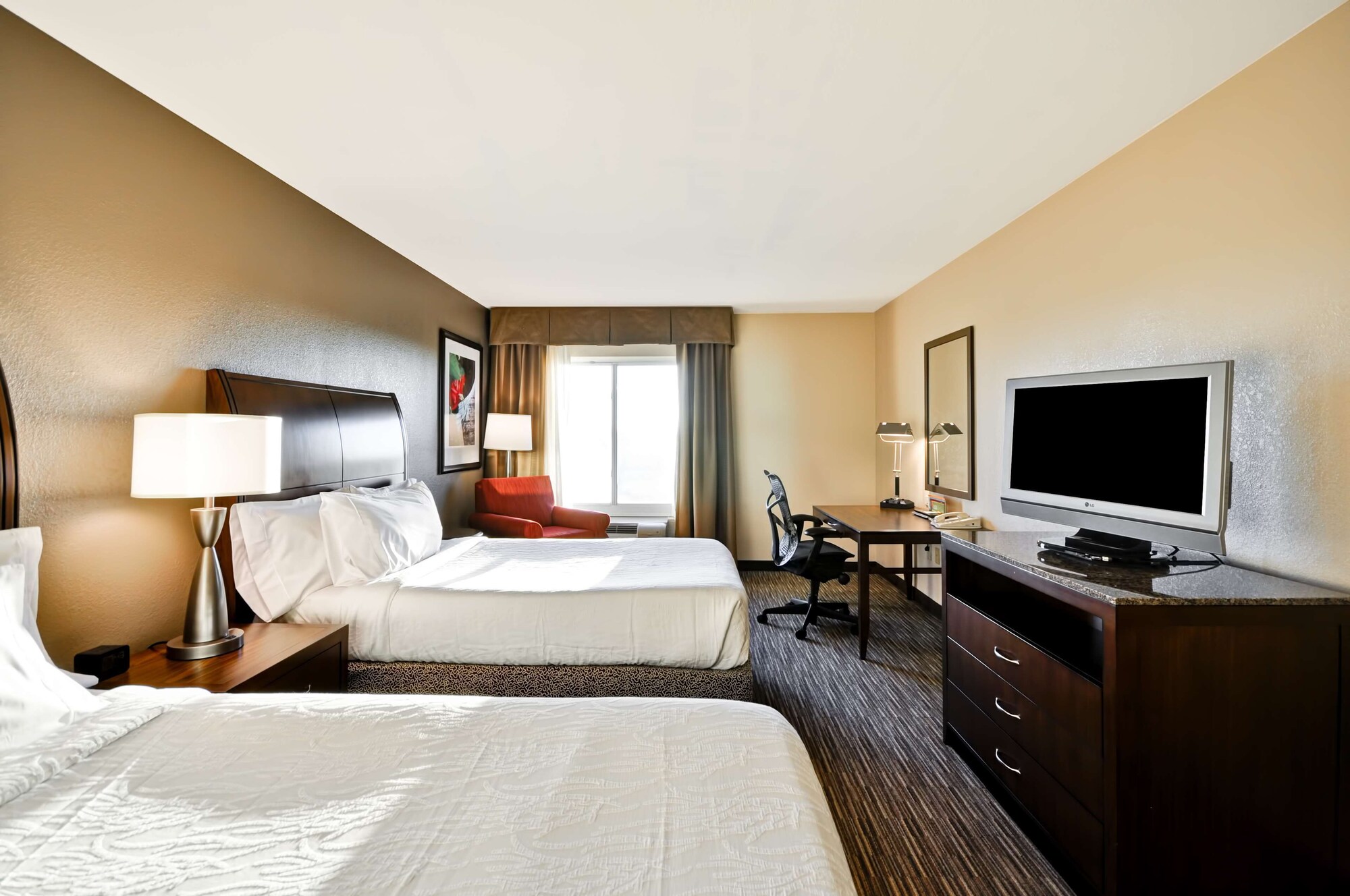 hilton garden inn tampa north busch gardens