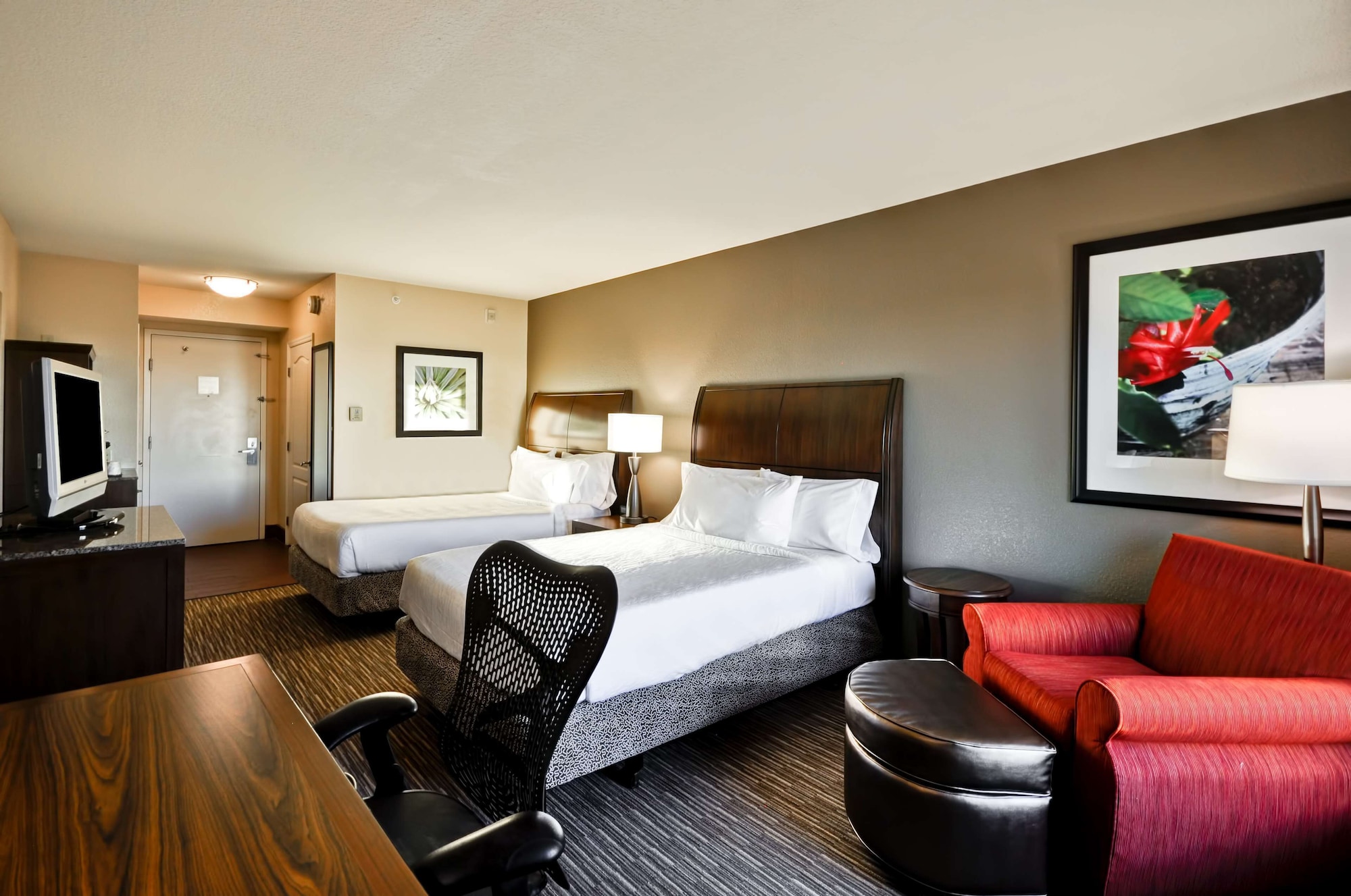 hilton garden inn tampa north busch gardens