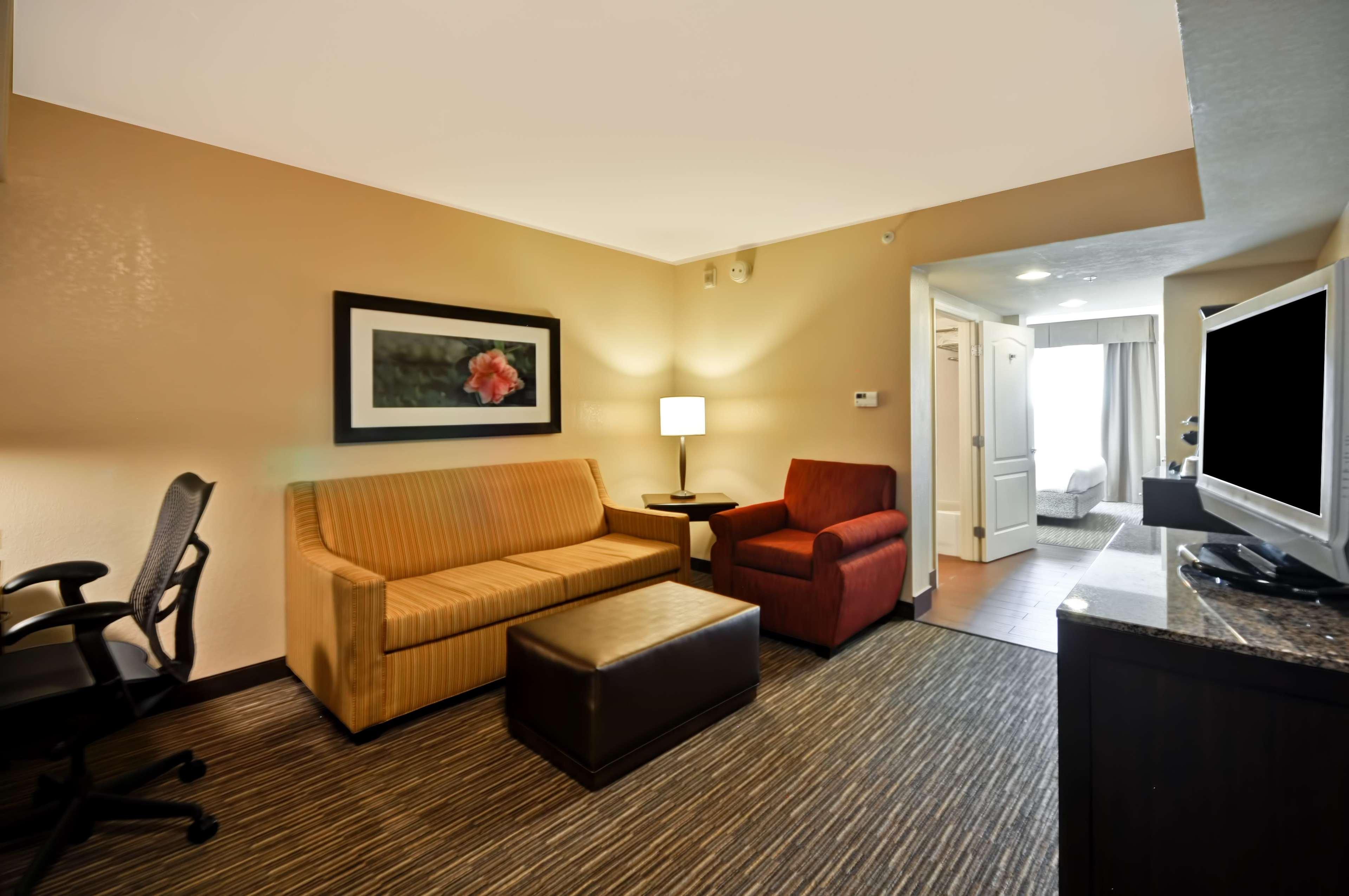 hilton garden inn tampa north busch gardens