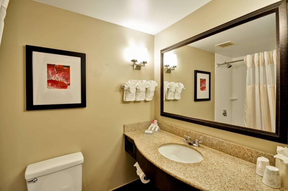 Hilton Garden Inn Tampa North Busch Gardens,Temple Terrace>>Tampa,3 star