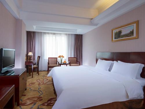 vienna hotel shenzhen bijiashan yinhu subway station