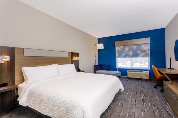 holiday inn express and suites tampa stadium area