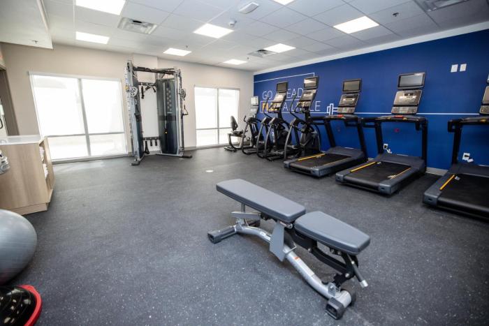 holiday inn express and suites tampa stadium area