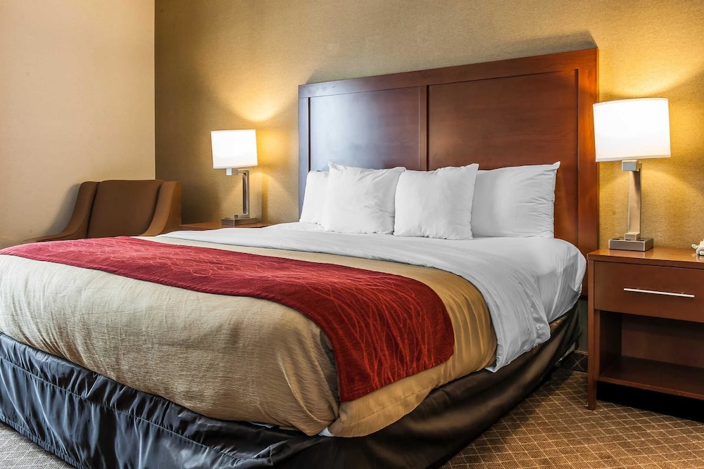 comfort inn east