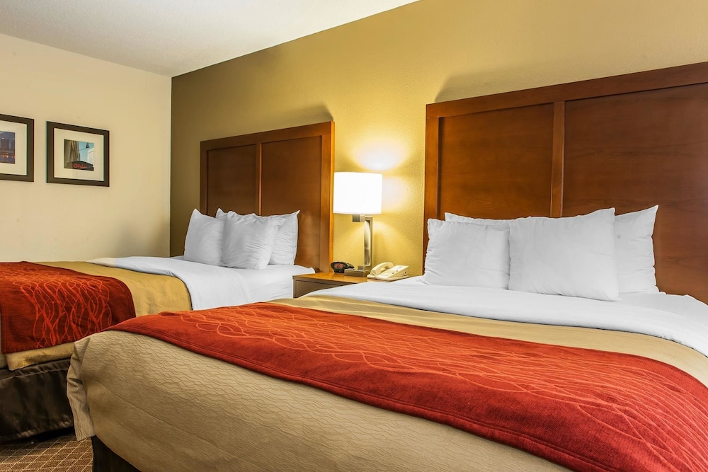 comfort inn east