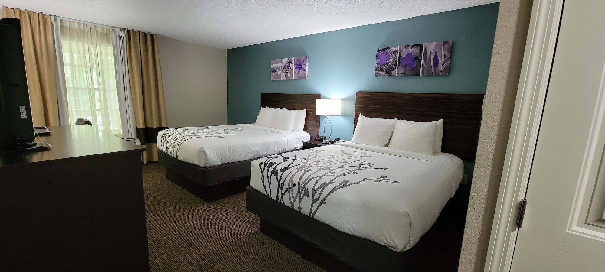 sleep inn and suites birmingham hoover