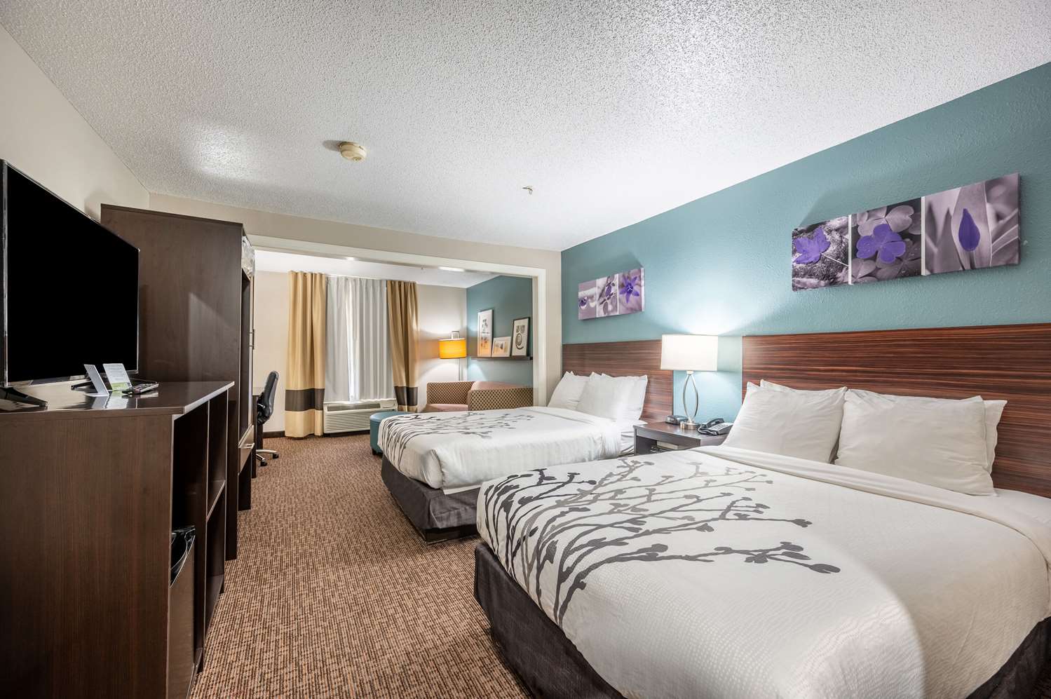 sleep inn and suites birmingham hoover