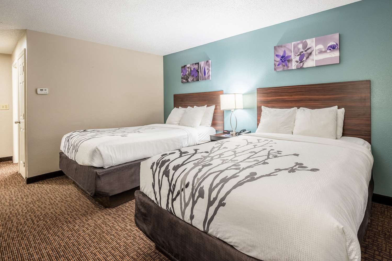 sleep inn and suites birmingham hoover