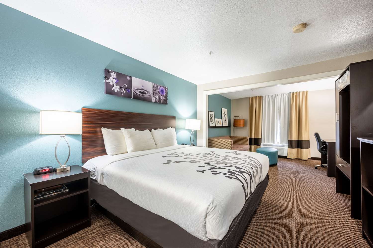 sleep inn and suites birmingham hoover
