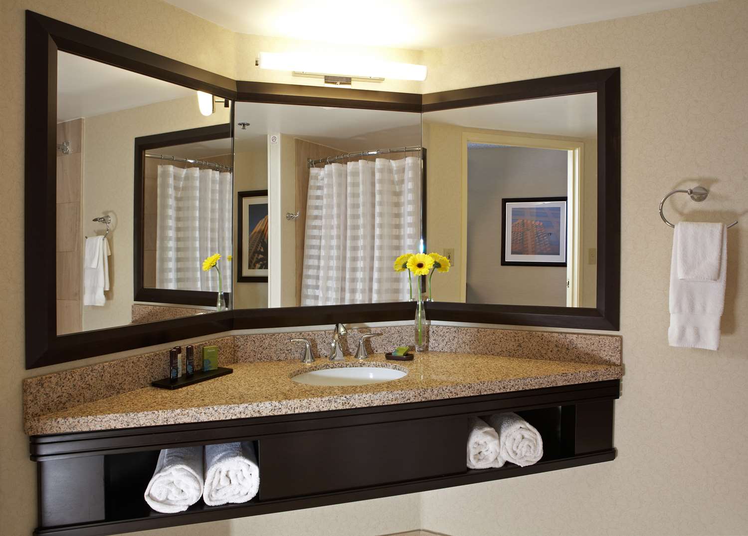 embassy suites by hilton los angeles international airport north