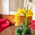 stillwell hotel