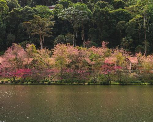 natureza eco lodge