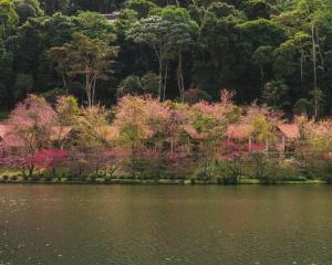 natureza eco lodge