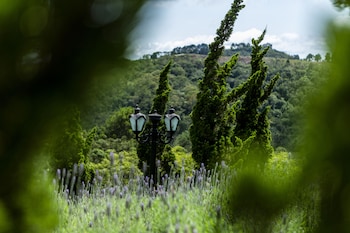 bendito cacao resort and spa