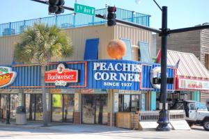 ocean forest villa resort