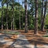 springhill suites by marriott pinehurst southern pines