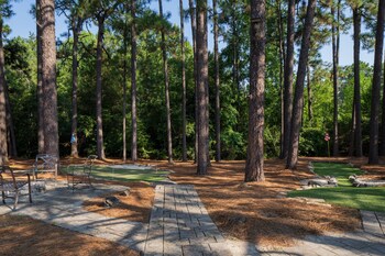 springhill suites by marriott pinehurst southern pines