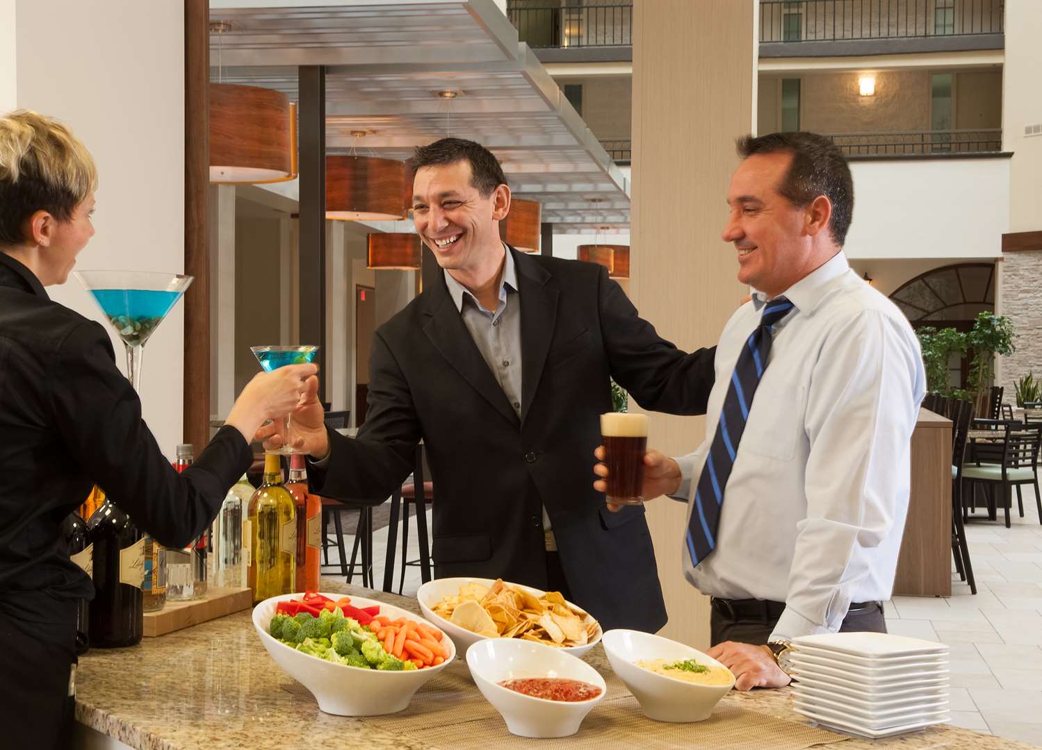 embassy suites by hilton nashville airport