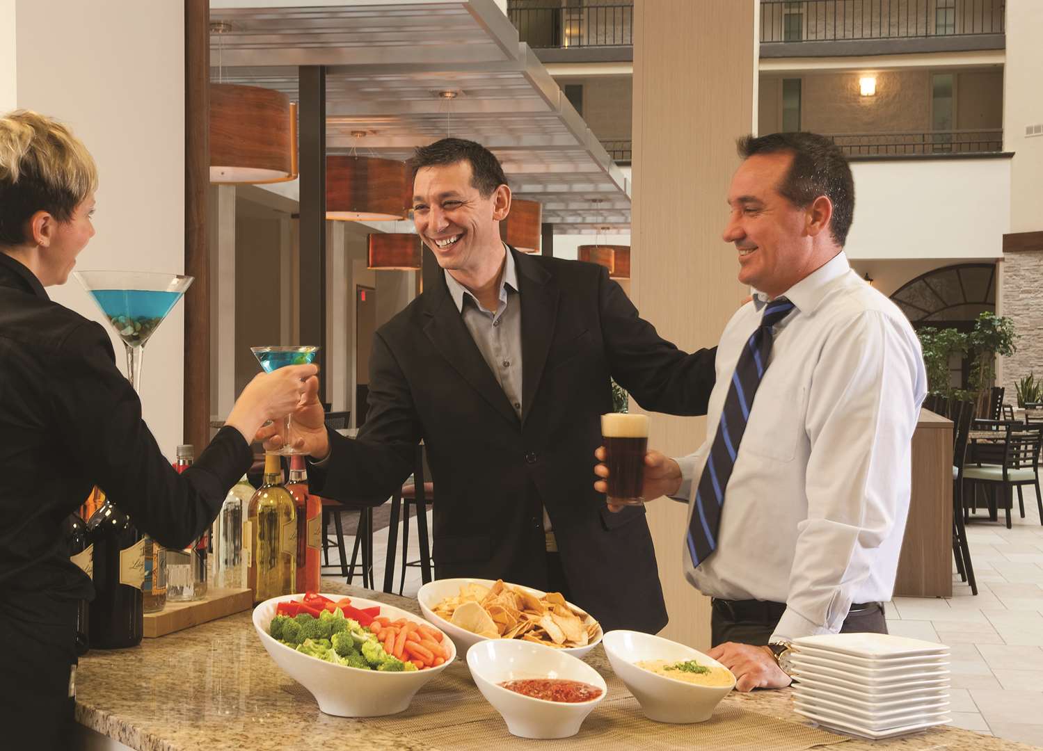embassy suites by hilton nashville airport