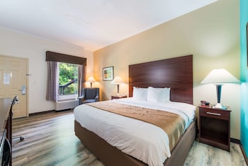 quality inn and suites rockingham