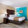 quality inn and suites rockingham