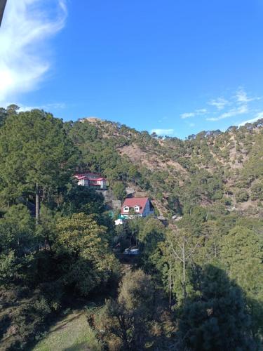 the lalitas majestic pines