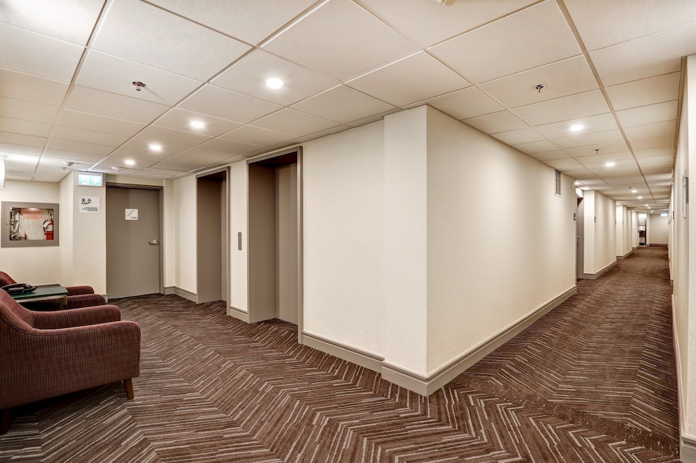 holiday inn ottawa dwtn parliament hill by ihg