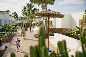 flamingo beach resort