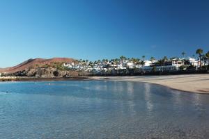 flamingo beach resort