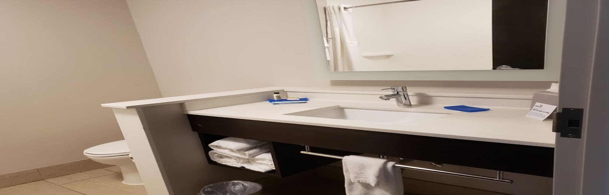holiday inn express and suites tampa east ybor city