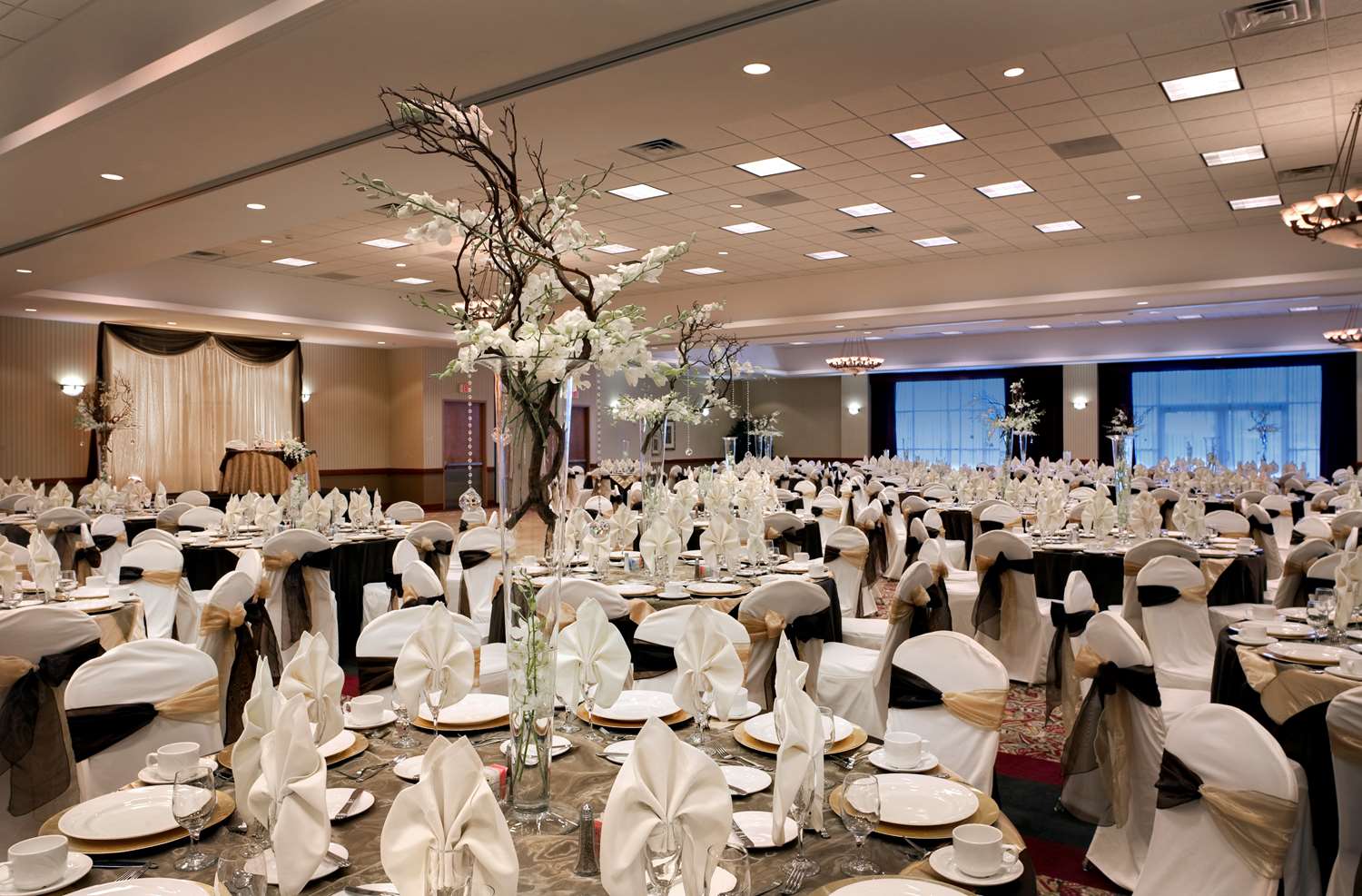 embassy suites by hilton anaheim south