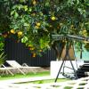 collesium garden