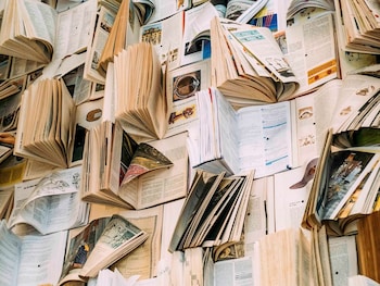 ibis styles pocos de caldas