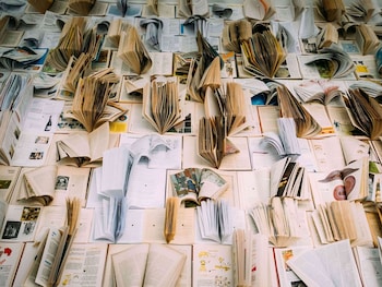 ibis styles pocos de caldas