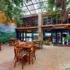 hotel arenal lodge