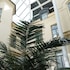 comfort hotel malmo