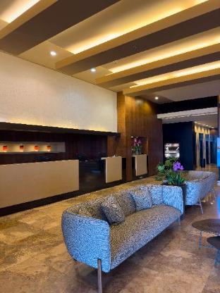 the dan carmel hotel
