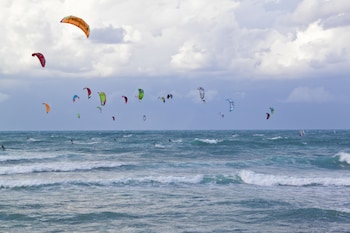 the dan carmel hotel