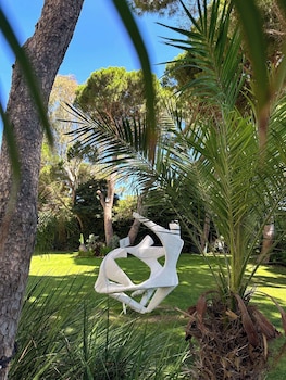 the dan carmel hotel