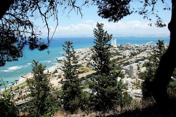 the dan carmel hotel