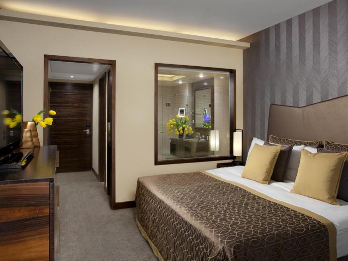 the dan carmel hotel