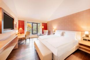 hilton frankfurt gravenbruch