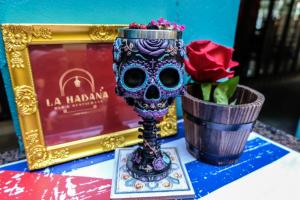the quba boutique hotel pattaya by compass hospitality